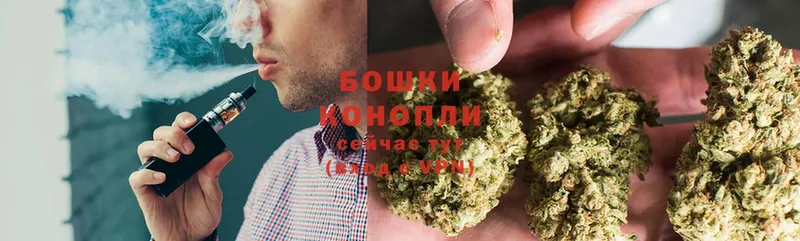 Шишки марихуана LSD WEED  Нолинск 